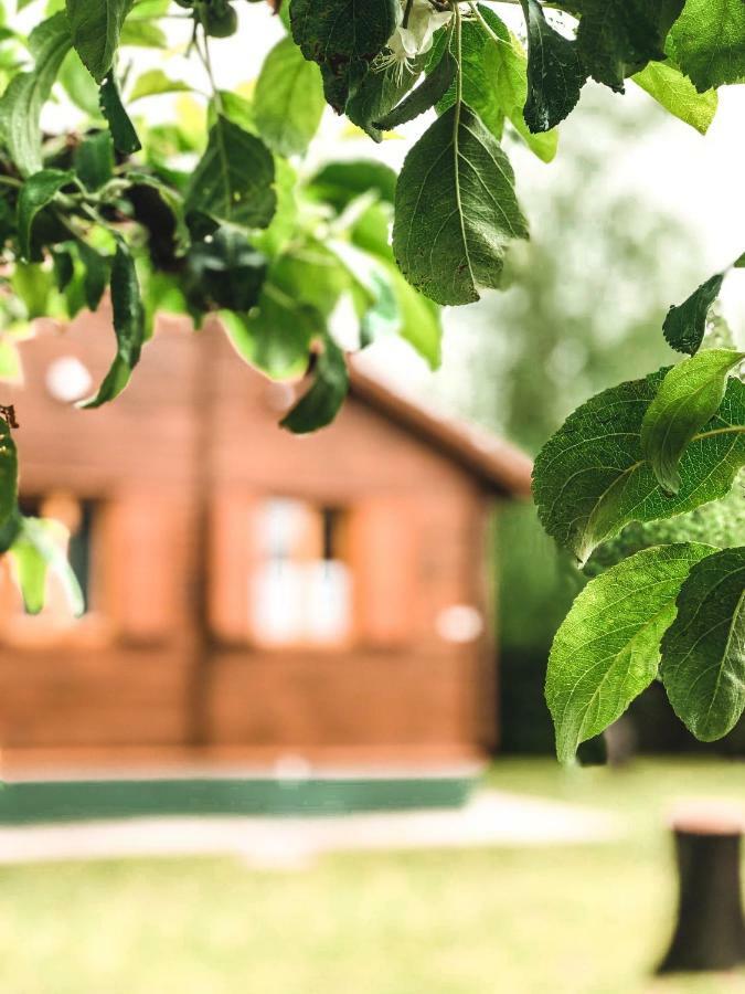 Balatonberény Lake House Farsang المظهر الخارجي الصورة